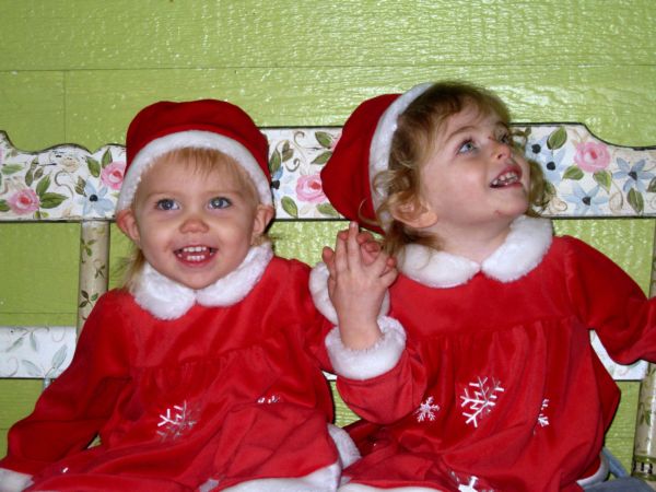 Xmas stars 061