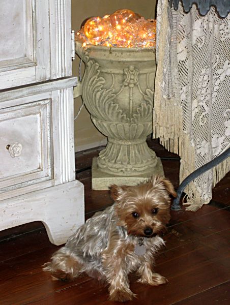 Xmas decor 08 054