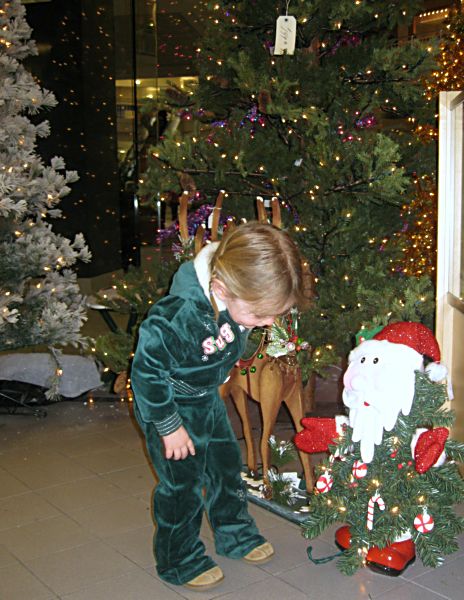 Xmas decor 08 104