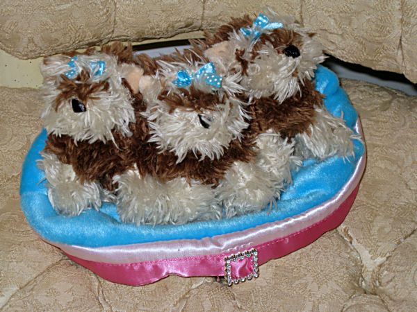 Puppies! 032