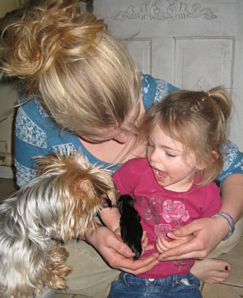 Puppies! 068