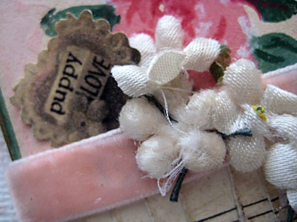 Puppy love swap 012