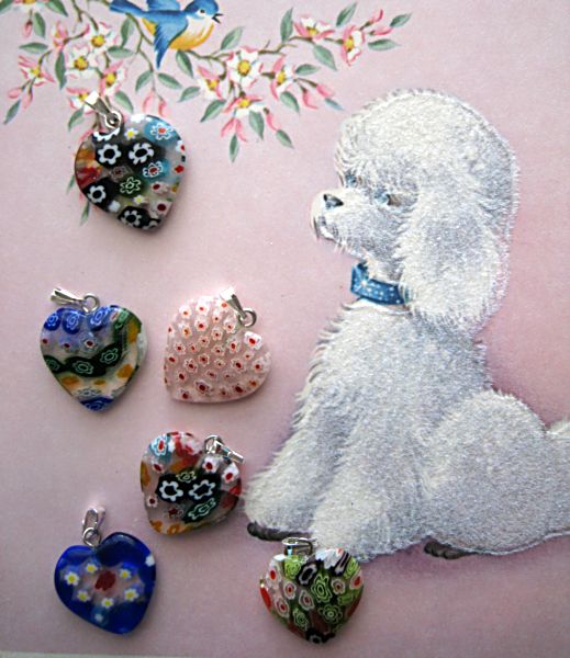 Puppy contest 002