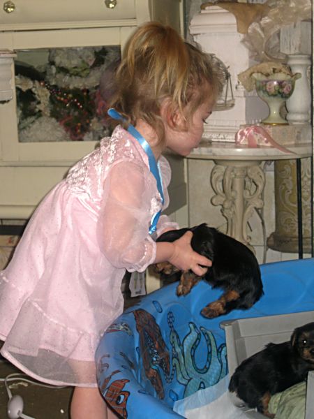 Puppy love swap 038