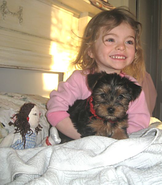Puppies! 472