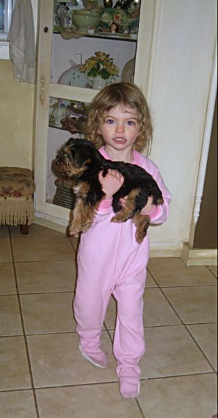 Puppies! 450