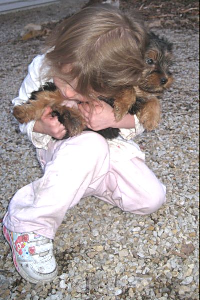 Puppies! 488