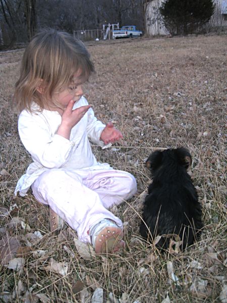 Puppies! 507