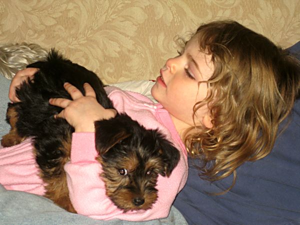 Puppies! 451