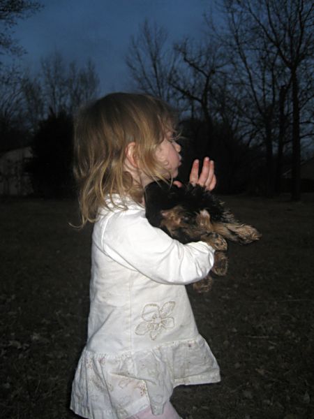 Puppies! 506