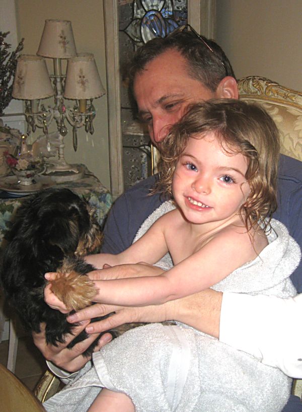 Puppies! 441