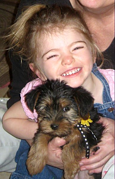 Puppies! 569