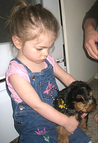 Puppies! 567
