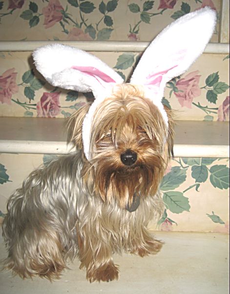 Easter 09 178