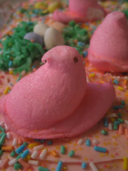 Easter 09 038