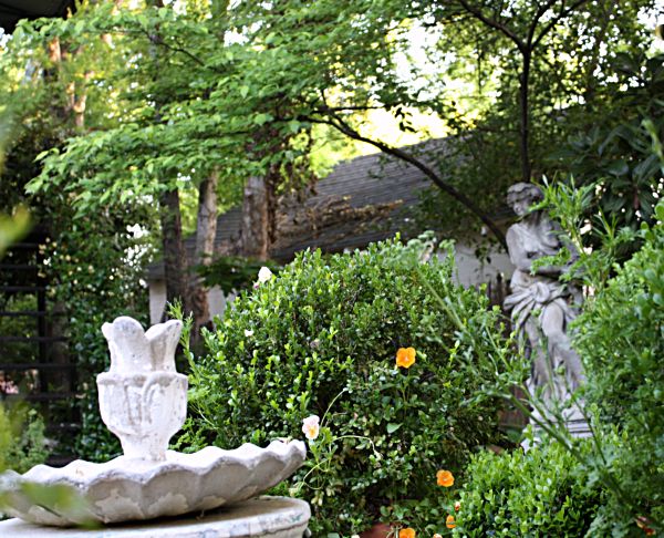 Le jardin 004