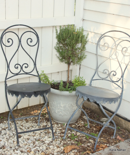 New plants 025