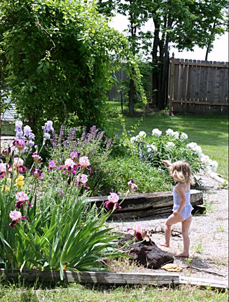 Picnic 034