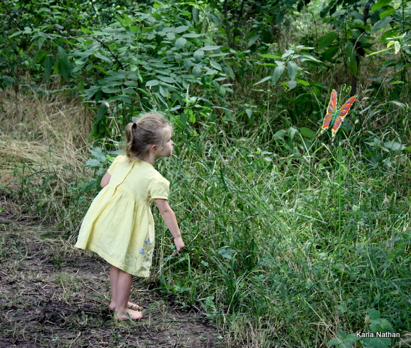 Fairyberrytrail 016