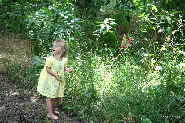 Fairyberrytrail 020