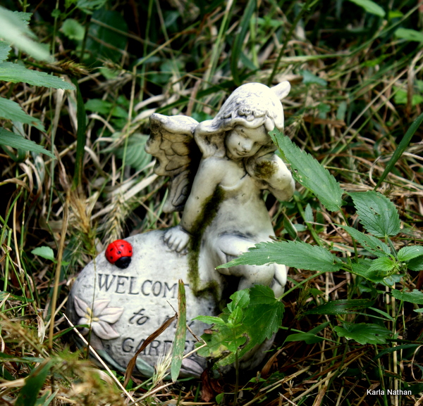Fairyberrytrail 044