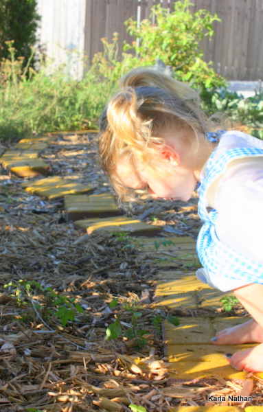 YELLOW BRICK ROAD. 016