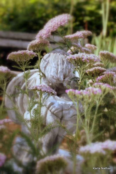 New plants 012