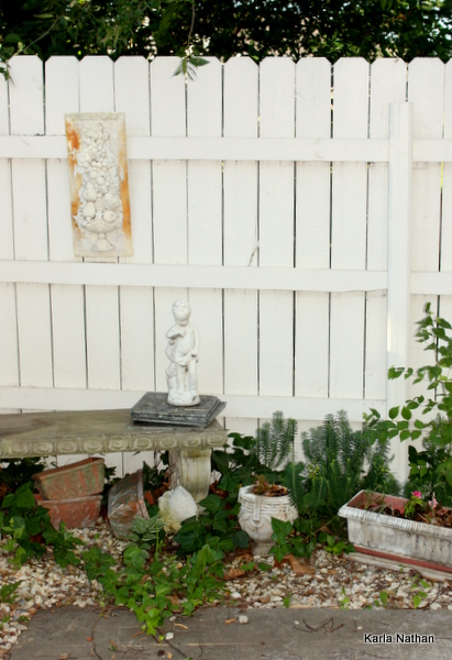 New plants 026