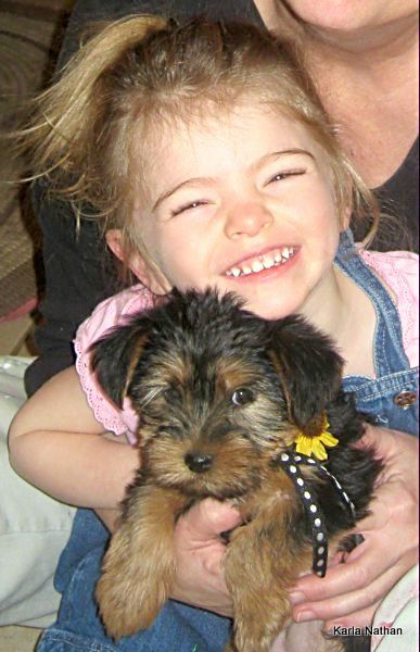 Puppies! 569