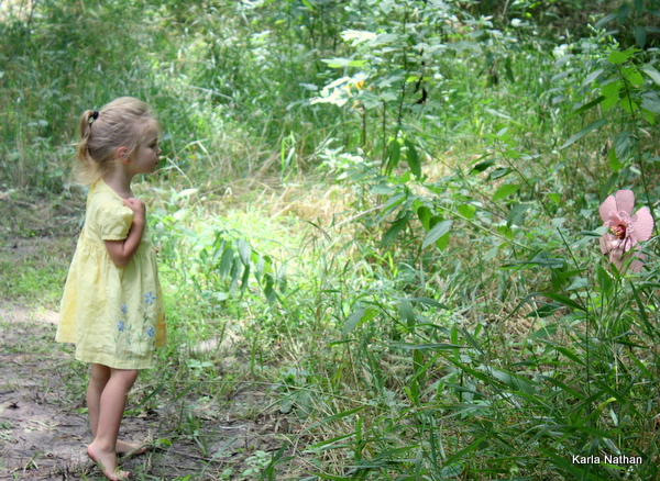 Fairyberrytrail 009