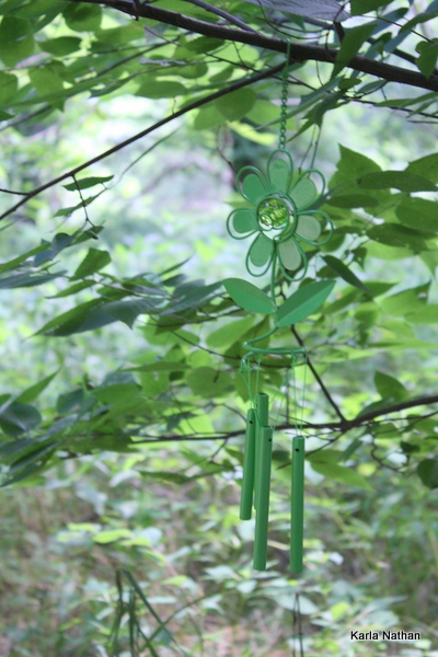 Fairyberrytrail 048