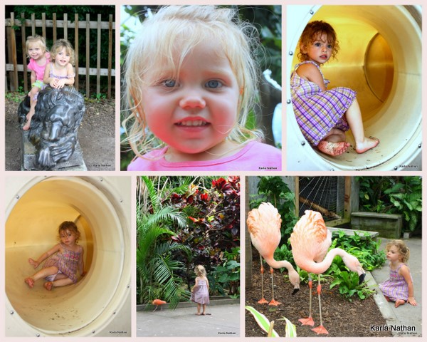Zoo1