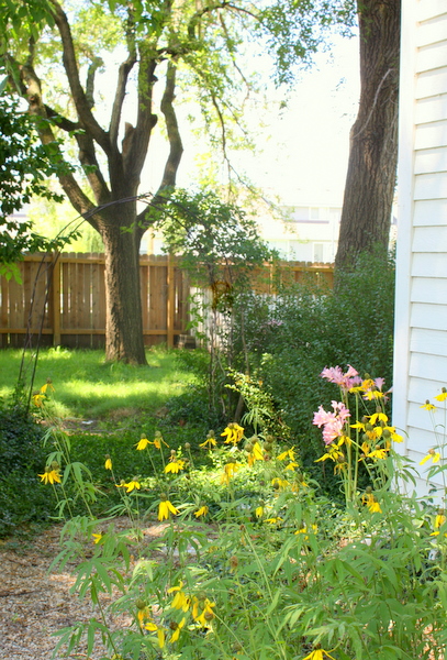 Aug flowers 045