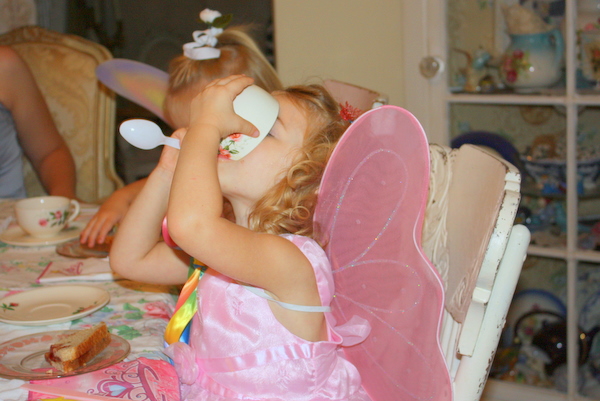 Fairy party with joan 059