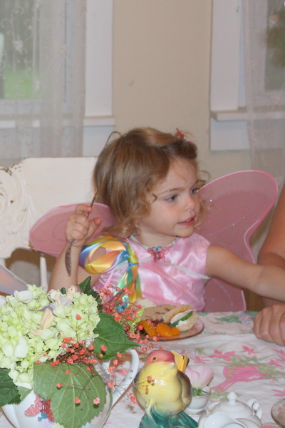 Fairy party with joan 072