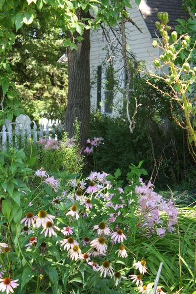 Aug flowers 051
