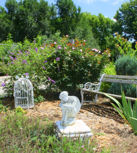 Aug flowers 060
