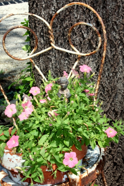 Aug flowers 064