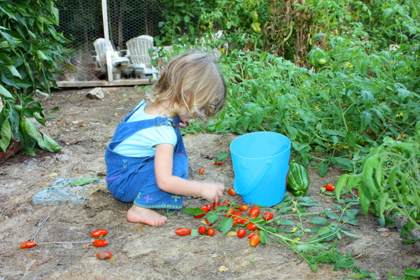 Gardening 012