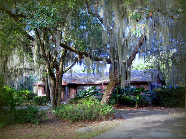Aunt c's house