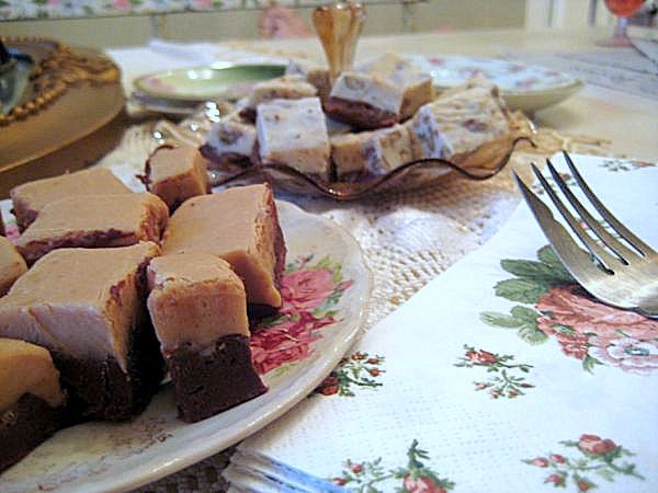 Ice and fudge 013