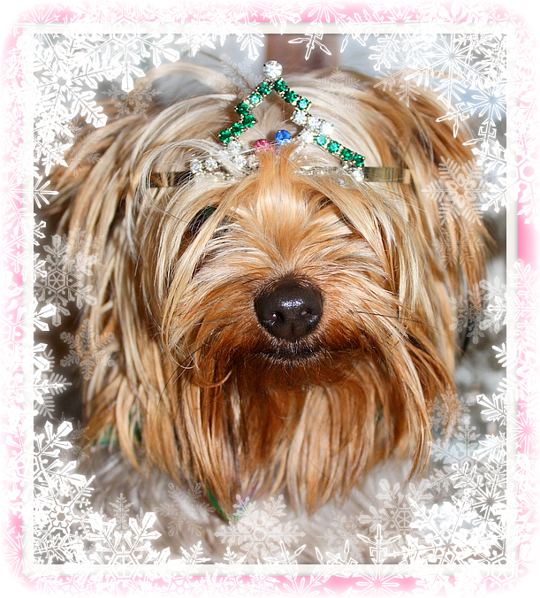 Twinkle crown