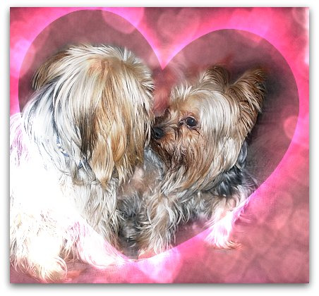 Love