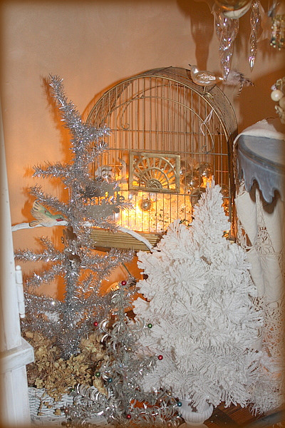 Cage