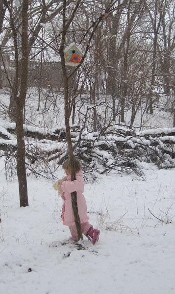 Snowy day 007