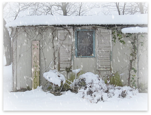 Shed