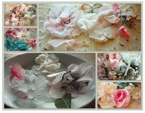 March 10 flowers