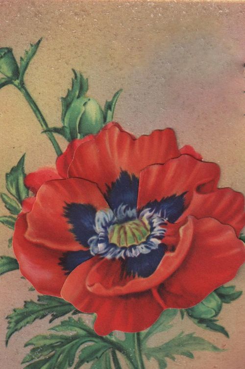 Membership 006-1
