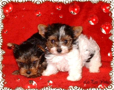 Darla and Spanky