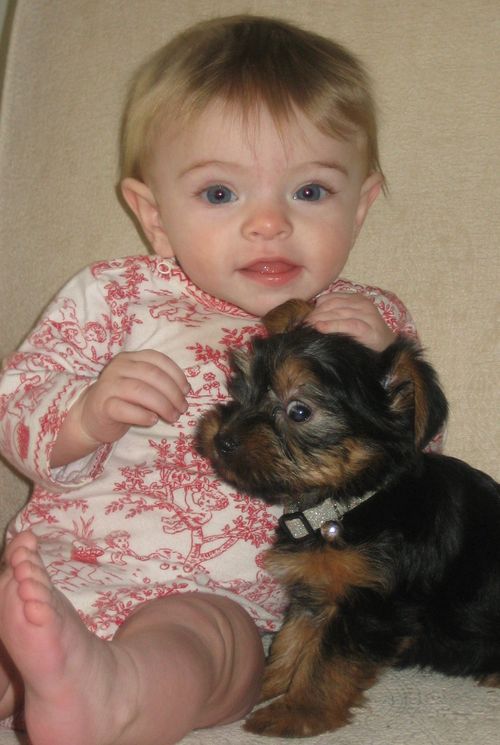 Puppy's first day 003